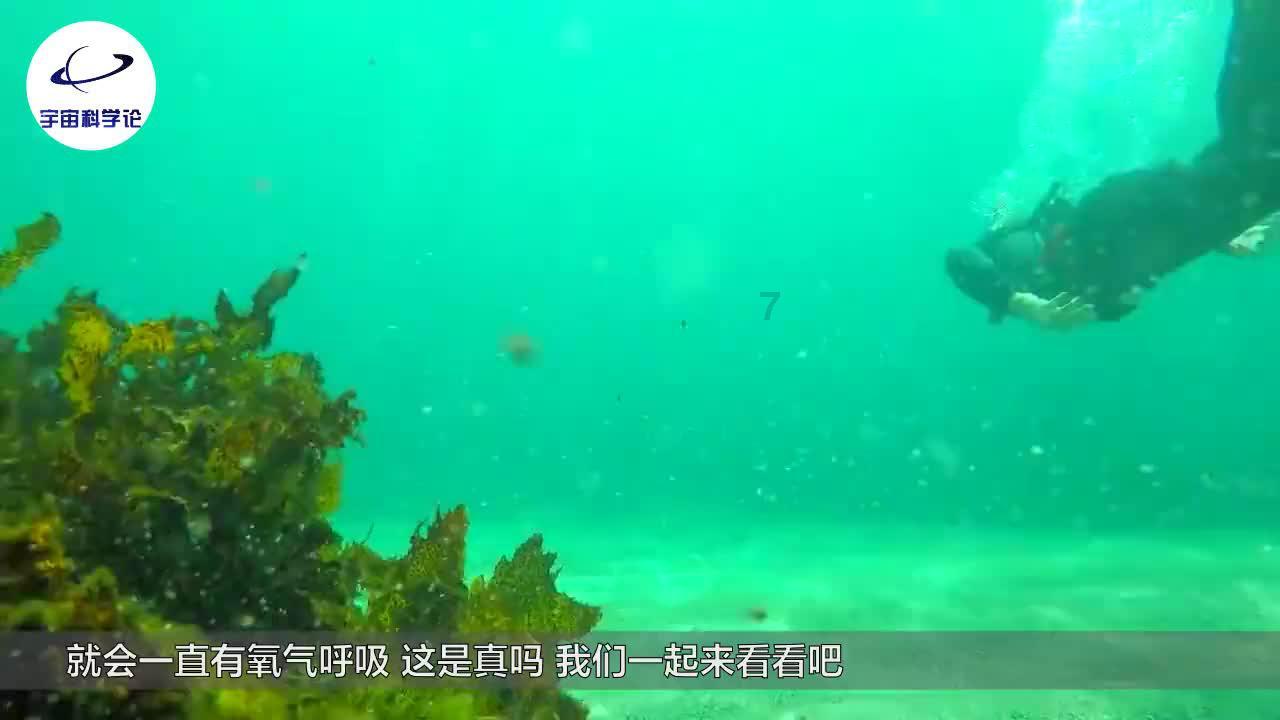 若眉有才有貌,为什么不去扑倒顾廷烨,而是自荐给秃顶老头做妾