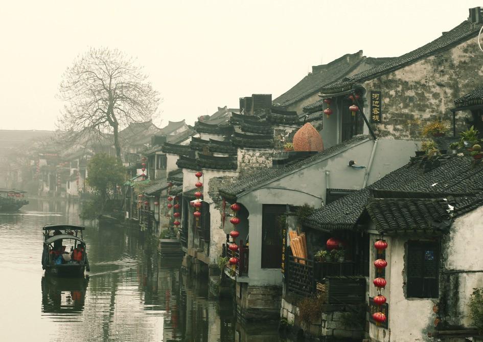 沙皮狗逃离